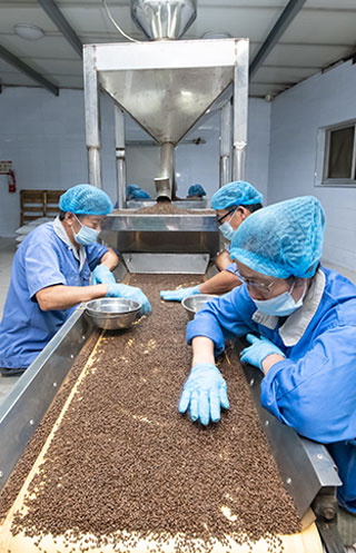 手工挑选，值得放心